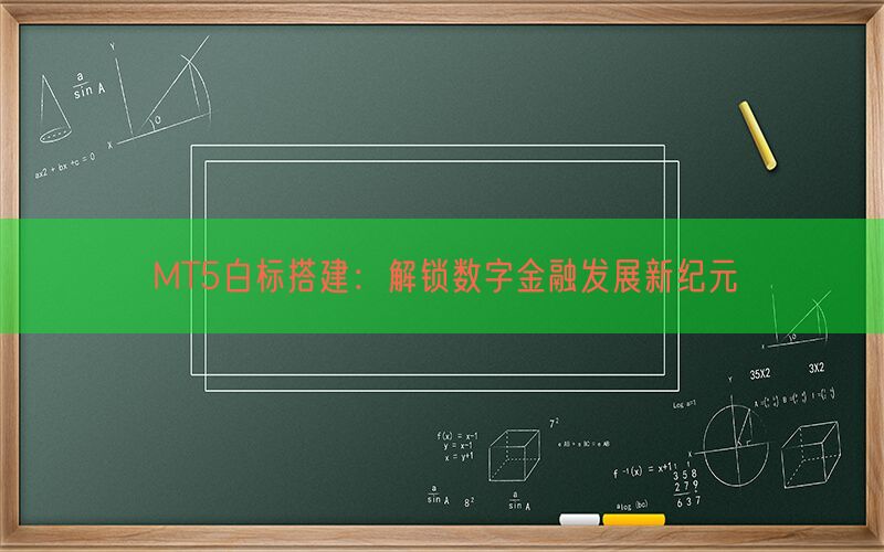 MT5白标搭建：解锁数字金融发展新纪元(图1)