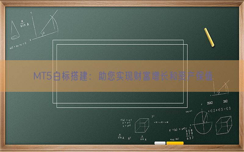 MT5白标搭建：助您实现财富增长和资产保值(图1)