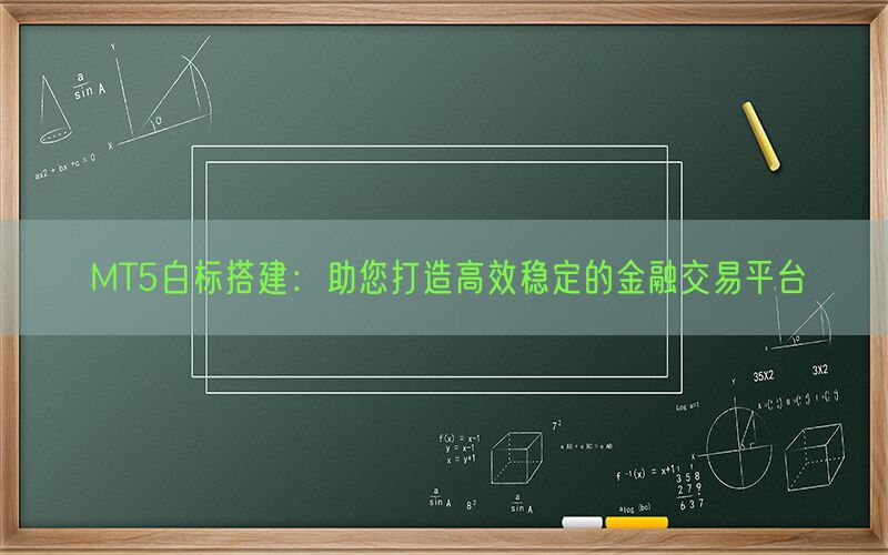 MT5白标搭建：助您打造高效稳定的金融交易平台(图1)