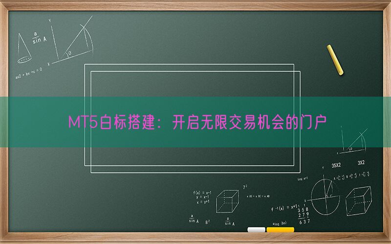 MT5白标搭建：开启无限交易机会的门户(图1)