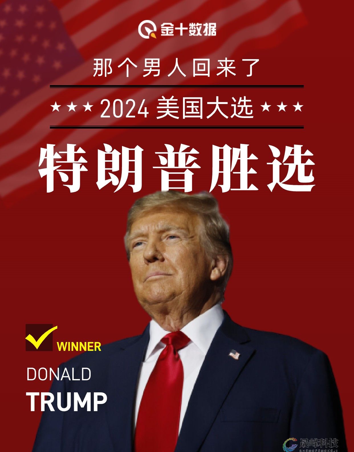 重磅！特朗普宣布在2024年总统选举中获胜-市场参考-晟峰科技数据(图1)