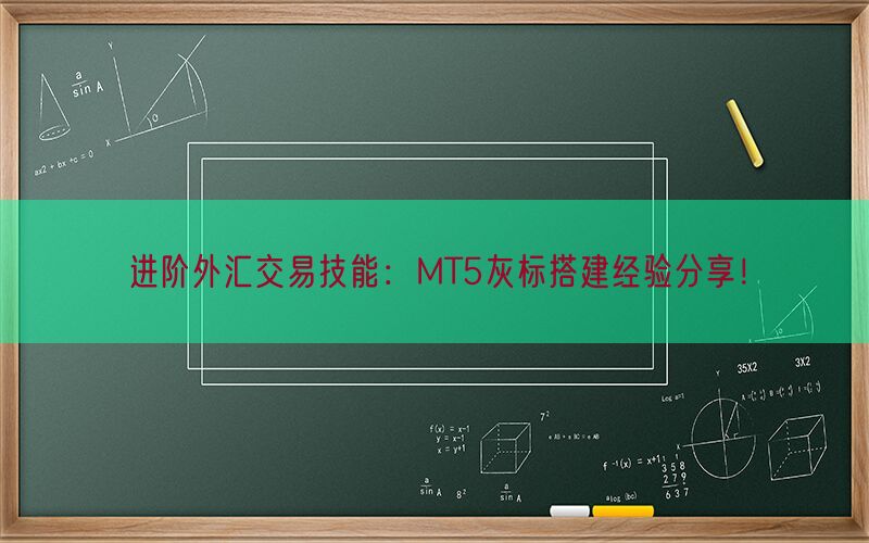 进阶外汇交易技能：MT5灰标搭建经验分享！(图1)