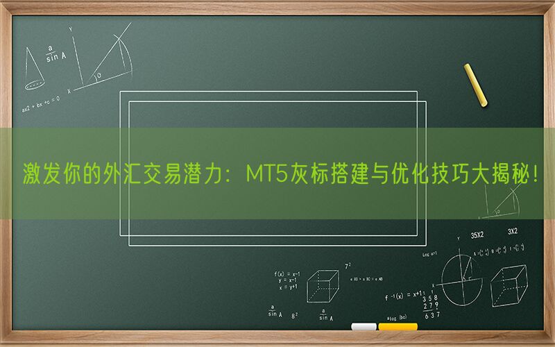 激发你的外汇交易潜力：MT5灰标搭建与优化技巧大揭秘！(图1)