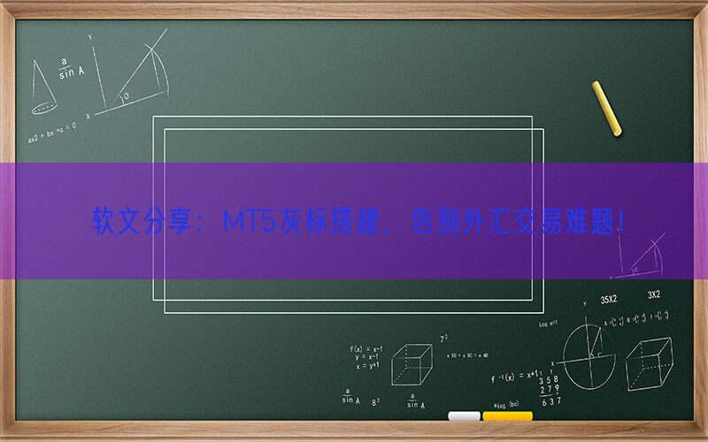 软文分享：MT5灰标搭建，告别外汇交易难题！(图1)