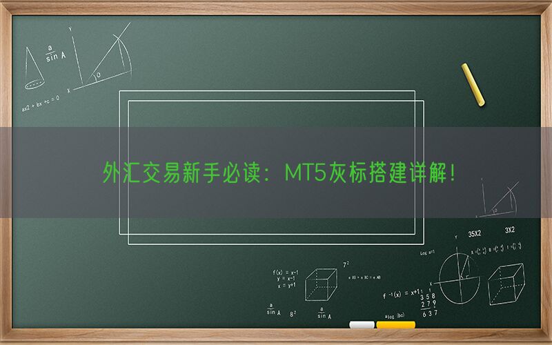 外汇交易新手必读：MT5灰标搭建详解！(图1)