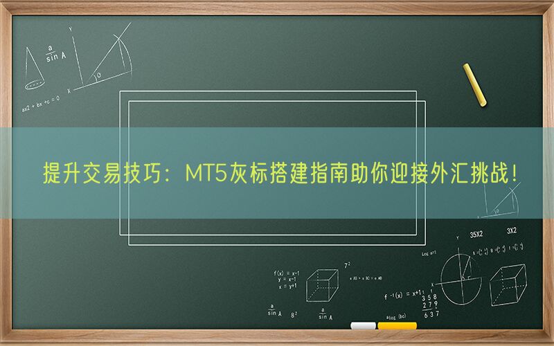 提升交易技巧：MT5灰标搭建指南助你迎接外汇挑战！(图1)