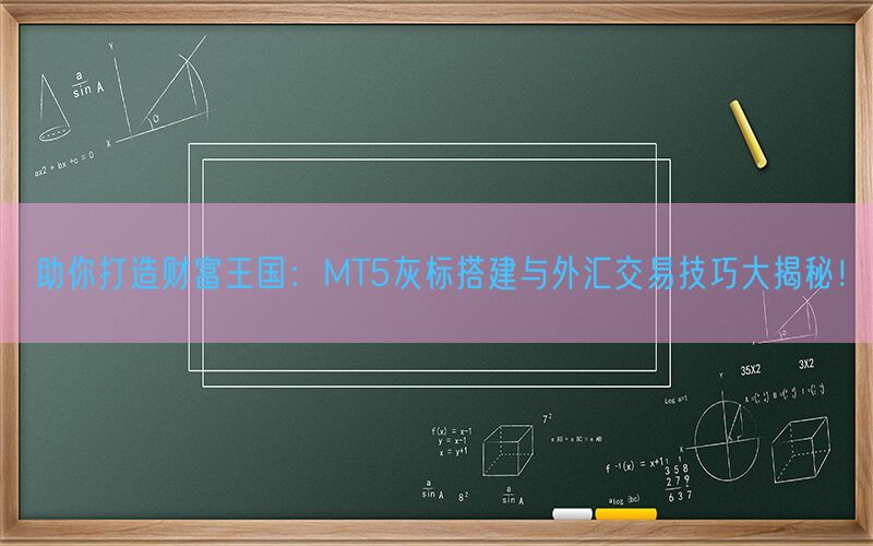 助你打造财富王国：MT5灰标搭建与外汇交易技巧大揭秘！(图1)