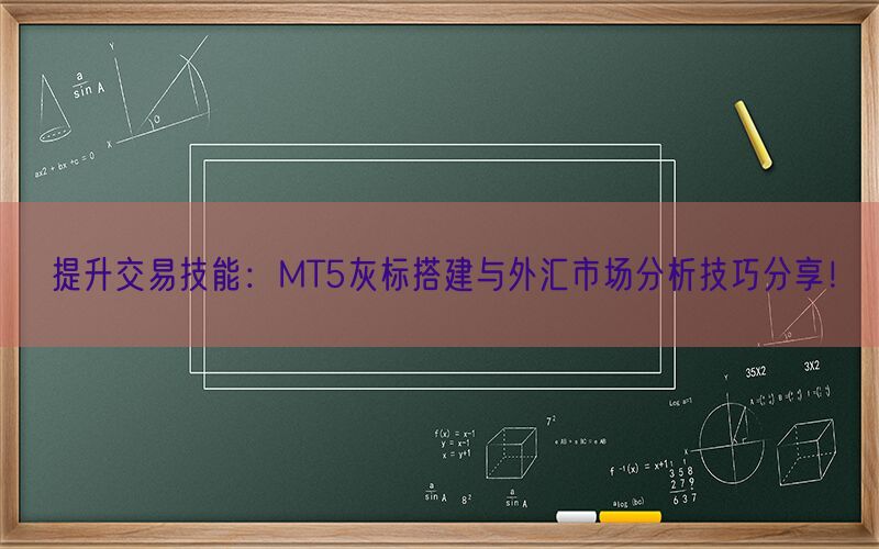 提升交易技能：MT5灰标搭建与外汇市场分析技巧分享！(图1)