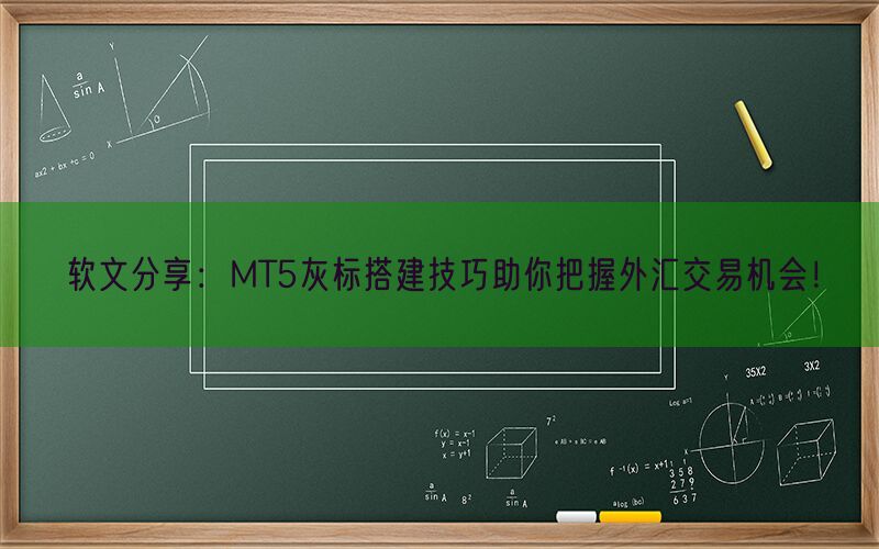 软文分享：MT5灰标搭建技巧助你把握外汇交易机会！(图1)