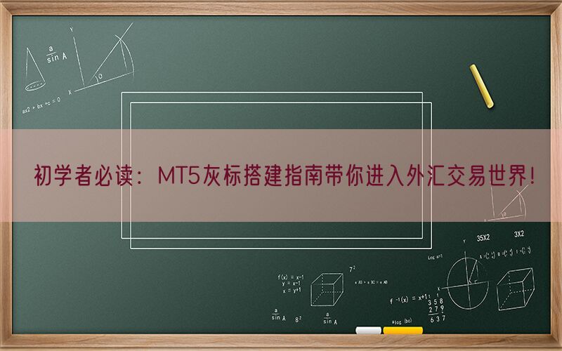 初学者必读：MT5灰标搭建指南带你进入外汇交易世界！(图1)