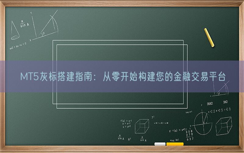 MT5灰标搭建指南：从零开始构建您的金融交易平台(图1)