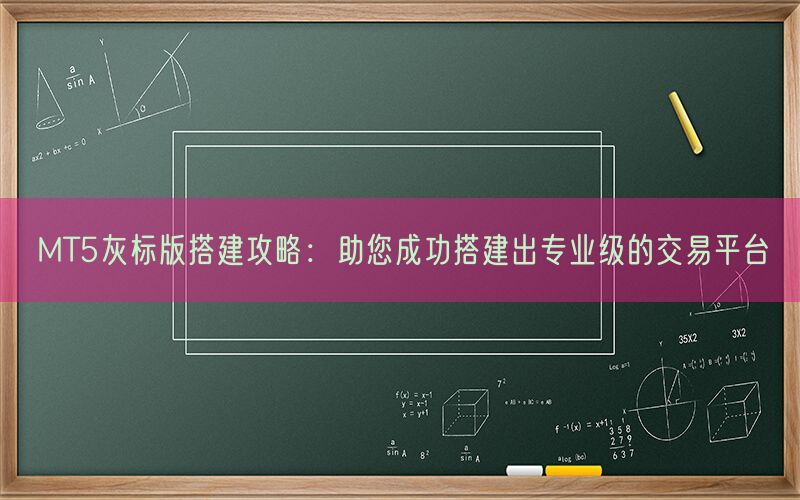 MT5灰标版搭建攻略：助您成功搭建出专业级的交易平台(图1)