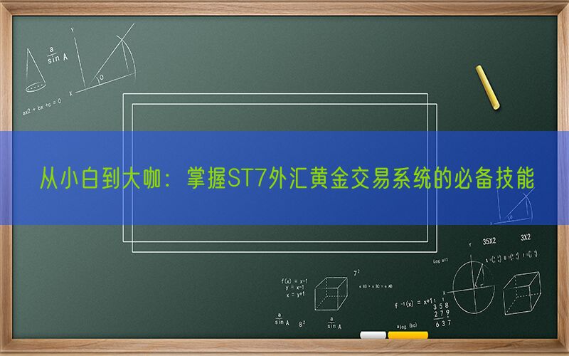 从小白到大咖：掌握ST7外汇黄金交易系统的必备技能(图1)