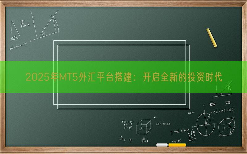 2025年MT5外汇平台搭建：开启全新的投资时代(图1)