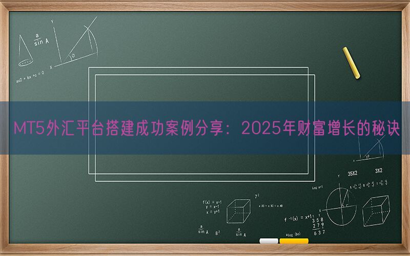 MT5外汇平台搭建成功案例分享：2025年财富增长的秘诀(图1)