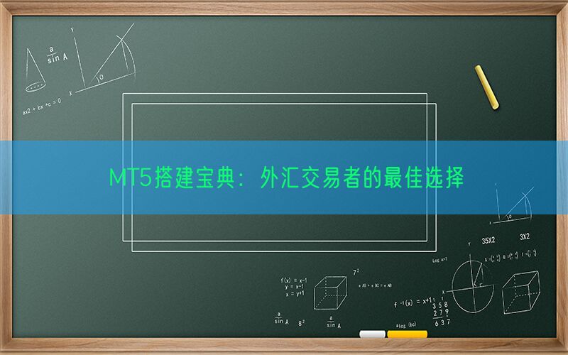 MT5搭建宝典：外汇交易者的最佳选择(图1)