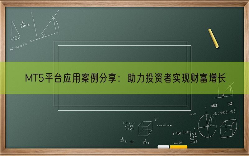 MT5平台应用案例分享：助力投资者实现财富增长(图1)