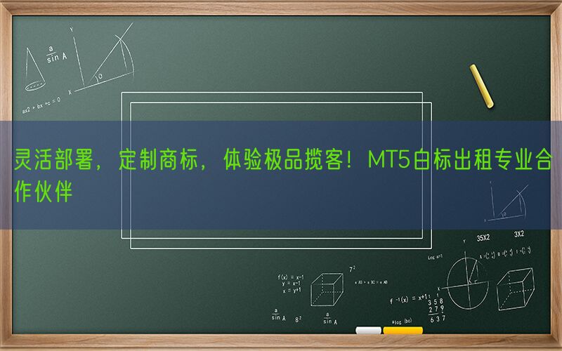 灵活部署，定制商标，体验极品揽客！MT5白标出租专业合作伙伴(图1)