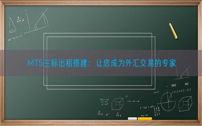 MT5主标出租搭建：让您成为外汇交易的专家(图1)