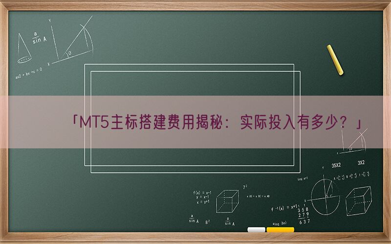 「MT5主标搭建费用揭秘：实际投入有多少？」(图1)