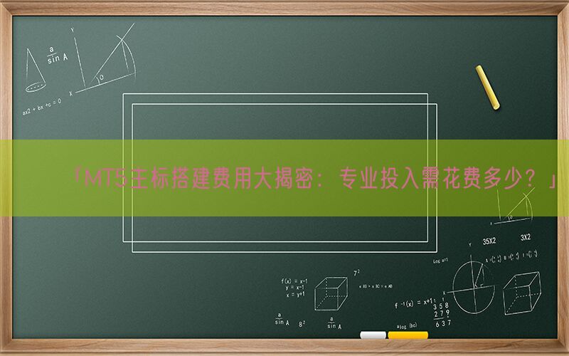 「MT5主标搭建费用大揭密：专业投入需花费多少？」(图1)