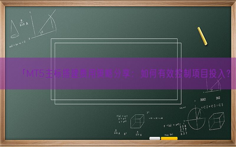 「MT5主标搭建费用策略分享：如何有效控制项目投入？」(图1)