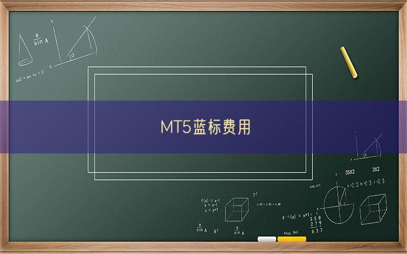 MT5蓝标费用(图1)