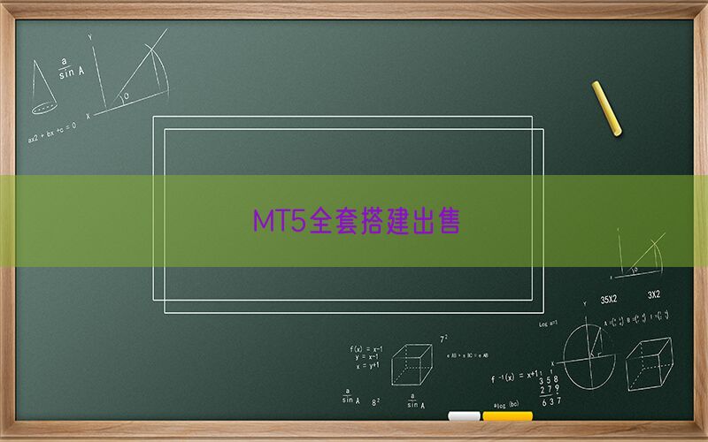MT5全套搭建出售(图1)