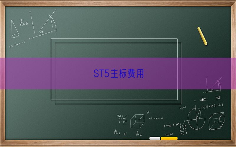 ST5主标费用(图1)