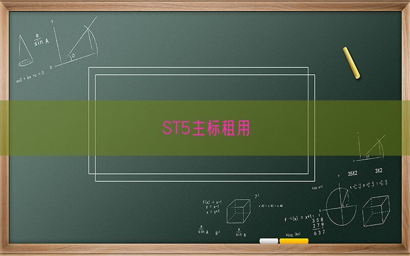 ST5主标租用(图1)