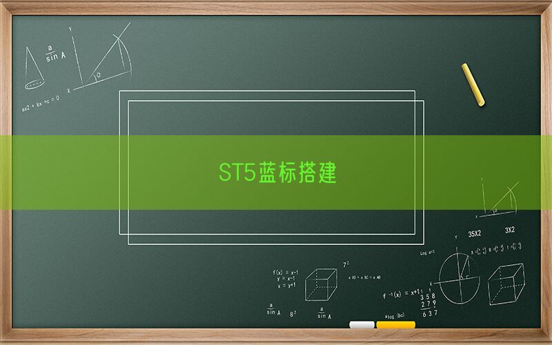 ST5蓝标搭建(图1)
