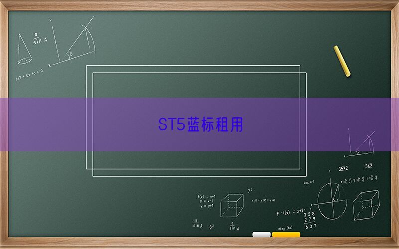 ST5蓝标租用(图1)