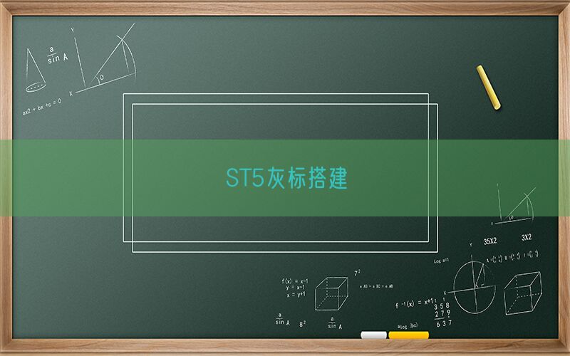 ST5灰标搭建(图1)