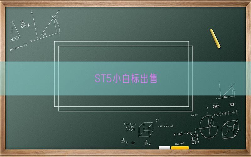 ST5小白标出售(图1)