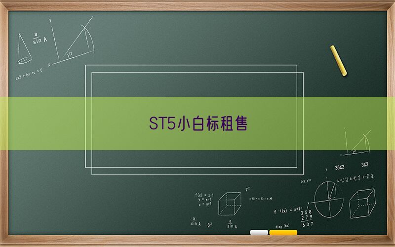 ST5小白标租售(图1)