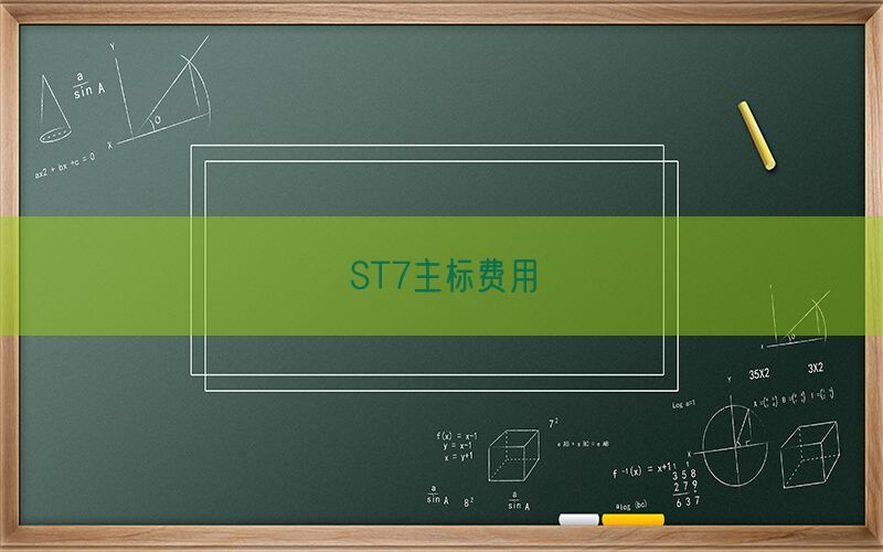 ST7主标费用(图1)