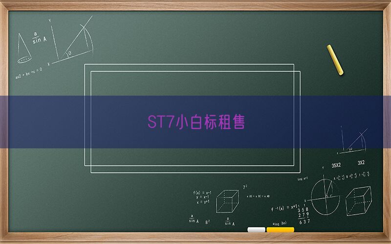 ST7小白标租售(图1)