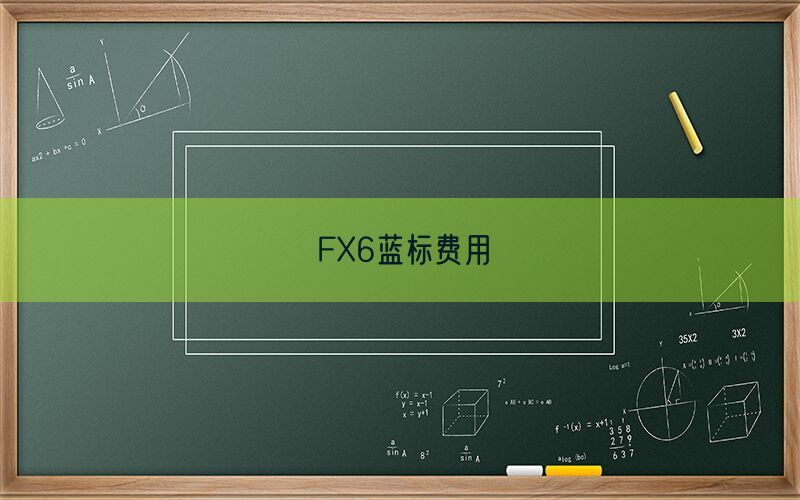 FX6蓝标费用(图1)