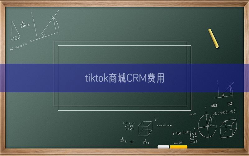 tiktok商城CRM费用(图1)
