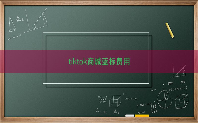 tiktok商城蓝标费用(图1)