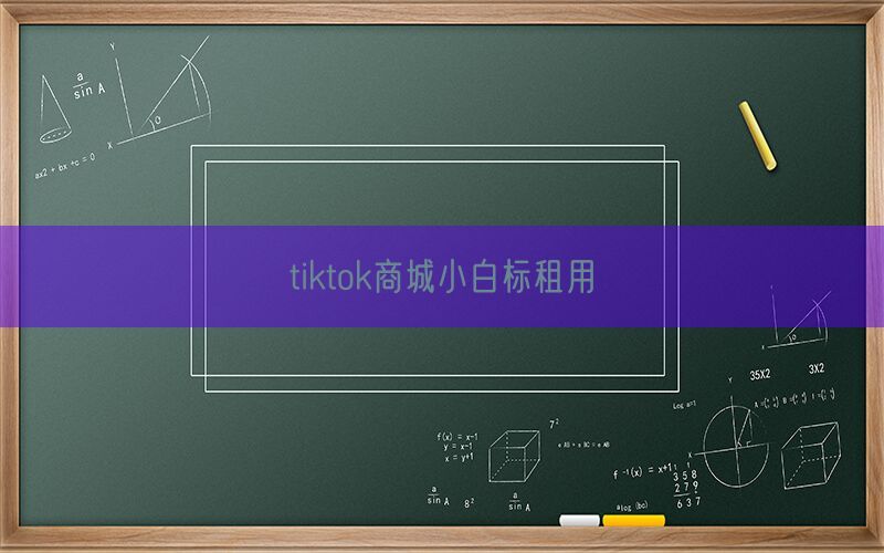 tiktok商城小白标租用(图1)