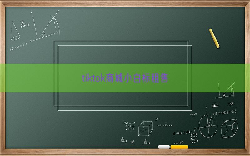 tiktok商城小白标租售(图1)