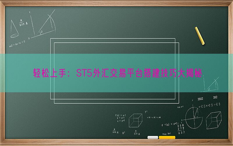 轻松上手：ST5外汇交易平台搭建技巧大揭秘(图1)