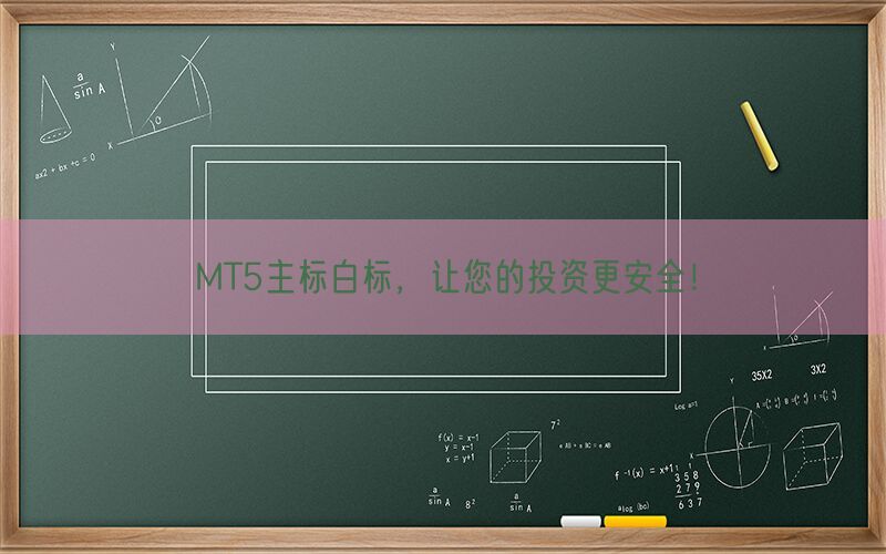 MT5主标白标，让您的投资更安全！(图1)
