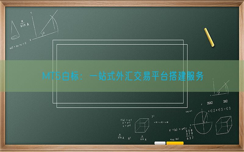 MT5白标：一站式外汇交易平台搭建服务(图1)