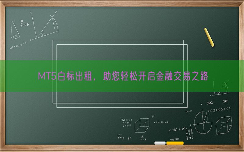 MT5白标出租，助您轻松开启金融交易之路(图1)