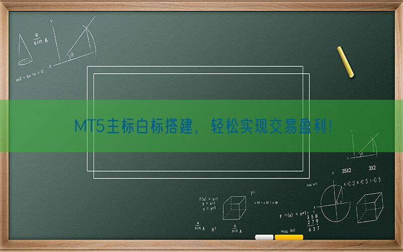 MT5主标白标搭建，轻松实现交易盈利！(图1)