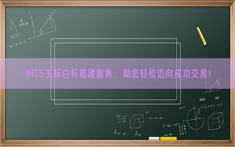 MT5主标白标搭建服务，助您轻松迈向成功交易！(图1)