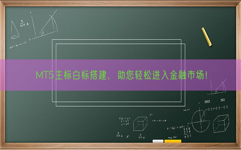 MT5主标白标搭建，助您轻松进入金融市场！(图1)