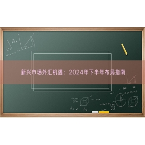 新兴市场外汇机遇：2024年下半年布局指南